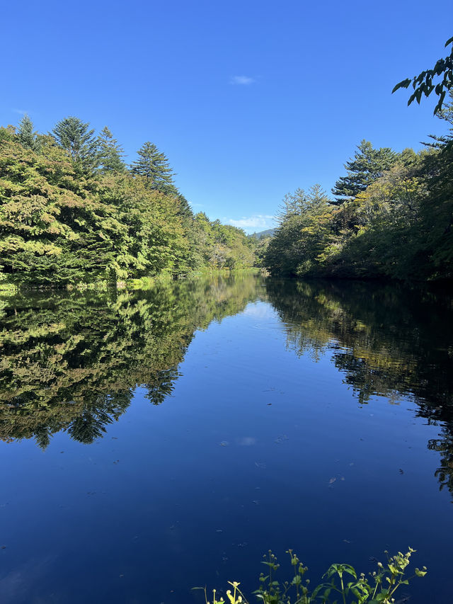 10月頭待變紅色的輕井澤