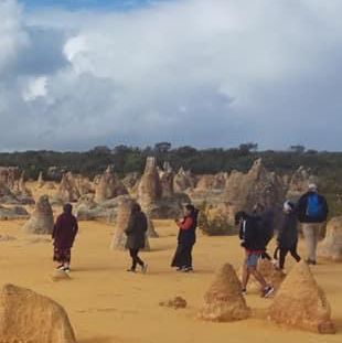 **A Journey Through the Pinnacles: Nature’s Spectacular Masterpiece**