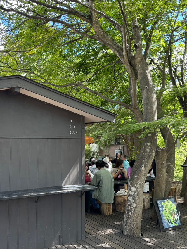 【軽井沢町】自然に囲まれたお蕎麦屋さん🌱