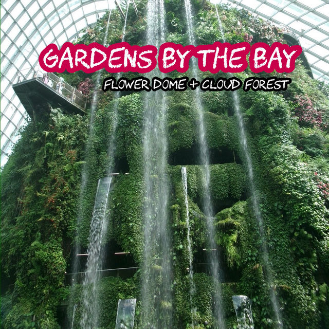 Gardens by the bay 🌹🌳