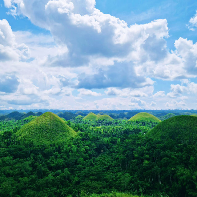 Discovering the Charms of Bohol