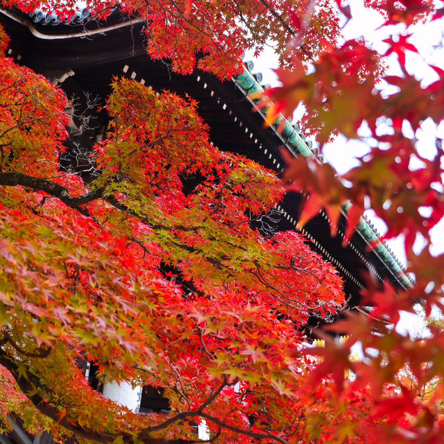 Shinnyodo Temple