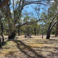 Nature’s Hidden Gem: Exploring Heathcote-Graytown