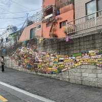 韓国第二の都市・釜山で楽しむ絶景、グルメ、文化の旅