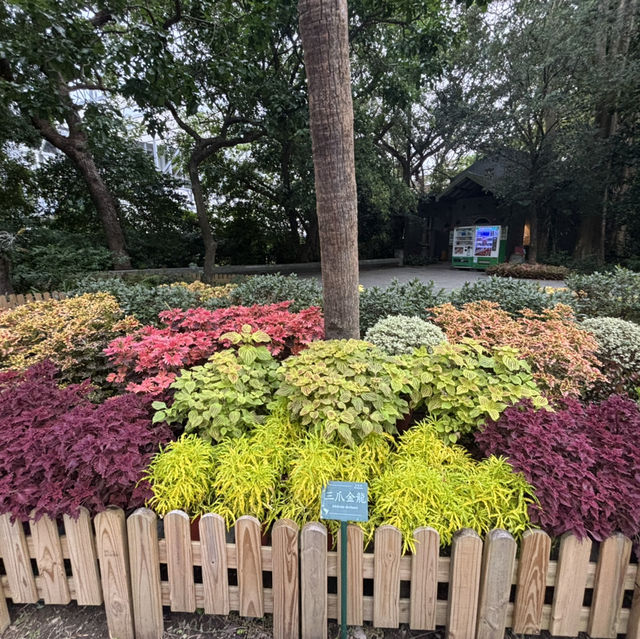 綠意盎然的城市秘境：臺北植物園遊記