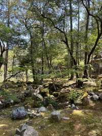 Kyoto｜ Saihōji (Kokedera) Temple, the hidden place of Kyoto