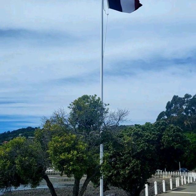 Akaroa Tour