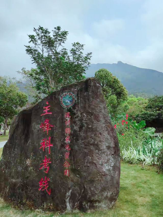 深圳徒步好去處勇登七娘山，與自然親密接觸