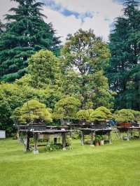 寫給6月要去東京的你！迎賓館赤坂離宮你值得一去！