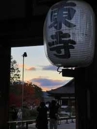 Explore the Stunning Autumn Foliage at Toji Temple in Kyoto!