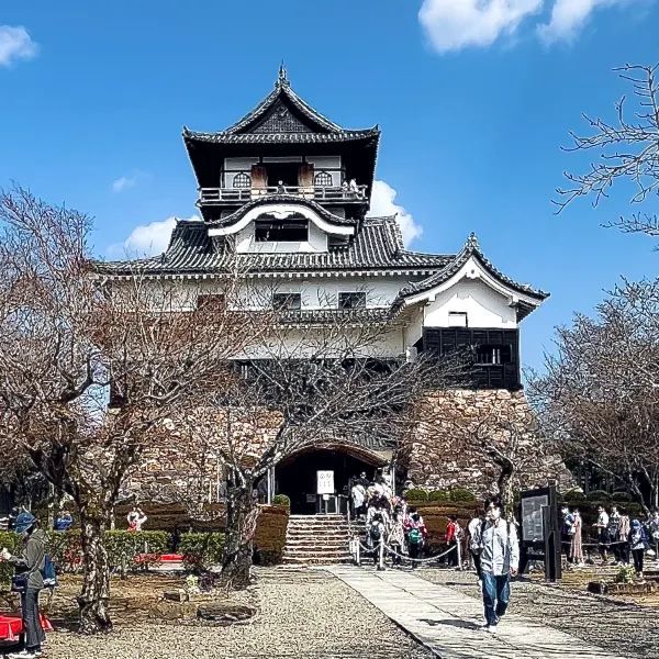 One-Day Trip to Inuyama Castle from Nagoya