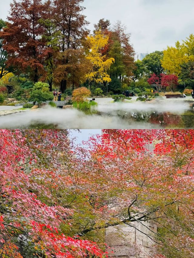 上海延中綠地附近冷門公園已美到封神附路線