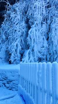 冬天不一定要去哈爾濱 重慶也有自己的雪山