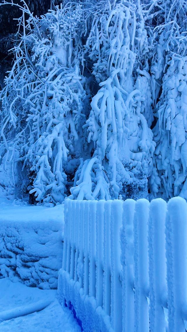 冬天不一定要去哈爾濱 重慶也有自己的雪山