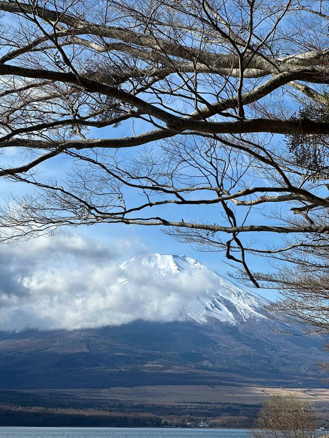 跨年日本行遇見煙花 錯過心也痛