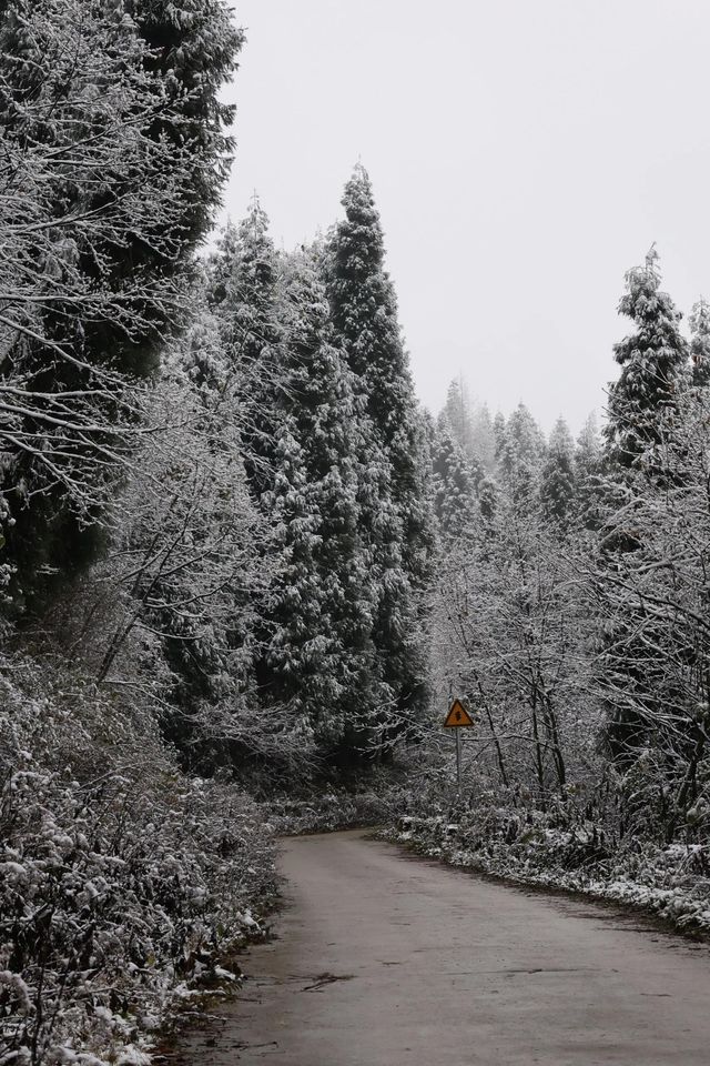 成都出發1.5小時免費觀賞超美霧凇雪景