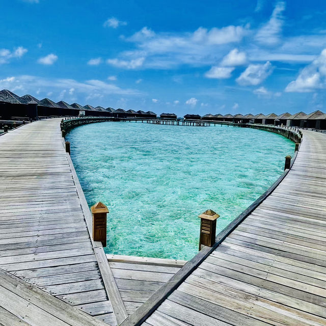 Lily Island!!! 🏖 🏖 one of the popular islands in Maldives 🏖