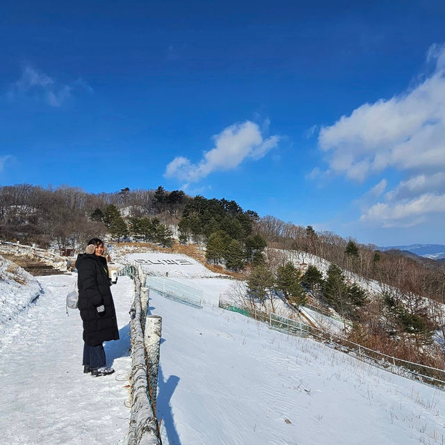 Winter Wonderland: Yongpyong Ski Resort's Delight