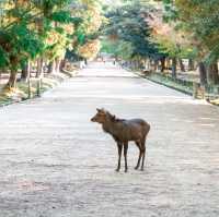 The Bowing Deer