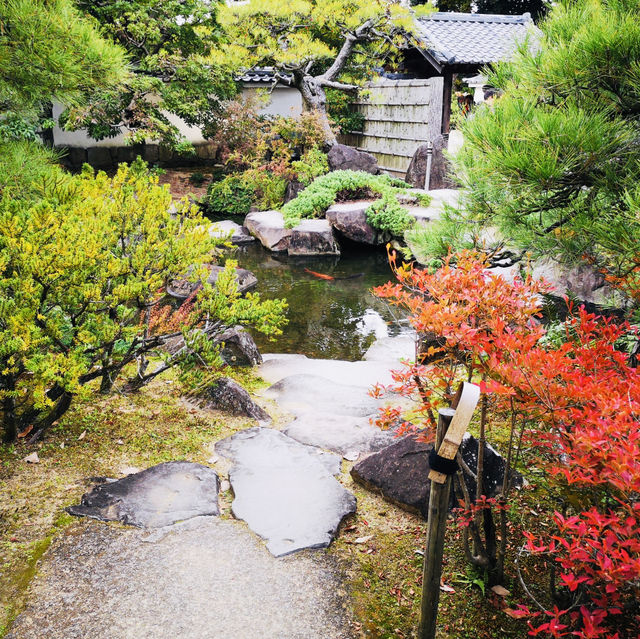 Nature’s Palette: Autumn Bliss at Kokoen Garden, Himeji!