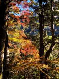 Kamikochi ต้องไปสักครั้งในชีวิต