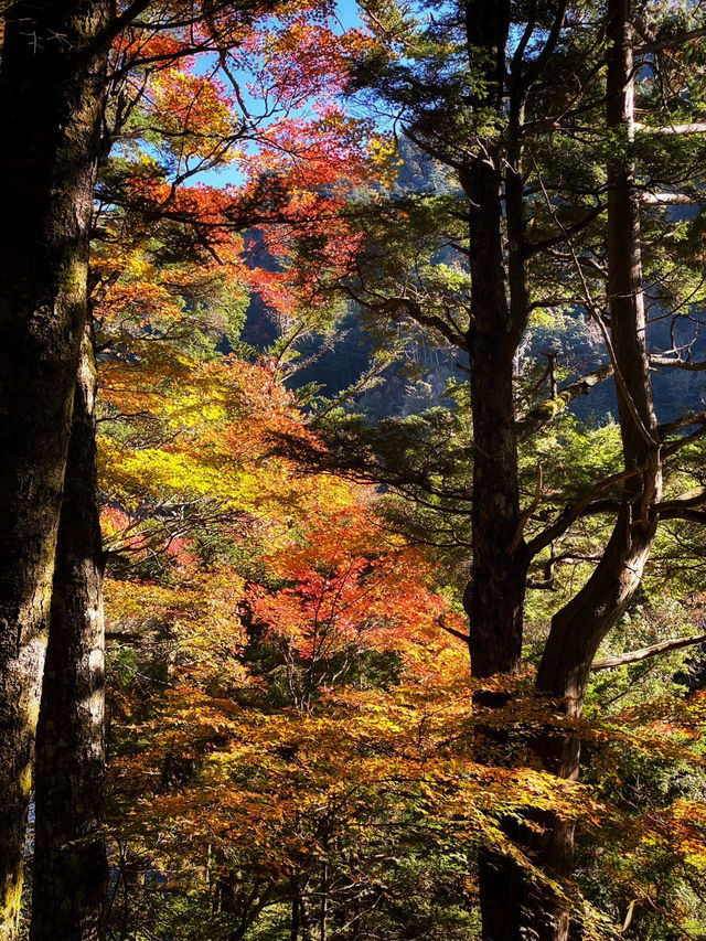 Kamikochi ต้องไปสักครั้งในชีวิต