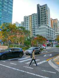 The Beauty of Seoul is Seoul Forest