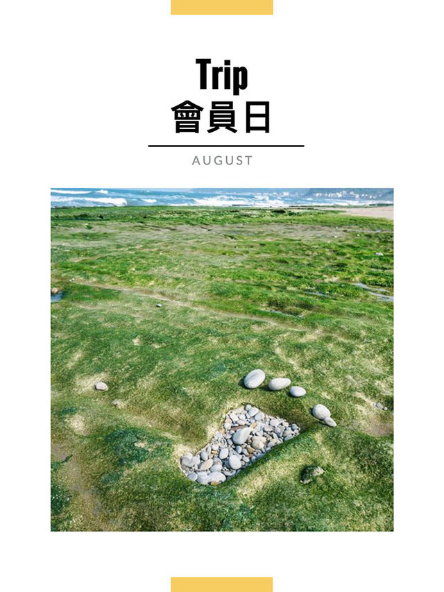 8月會員日札記｜台灣新北老梅綠石槽