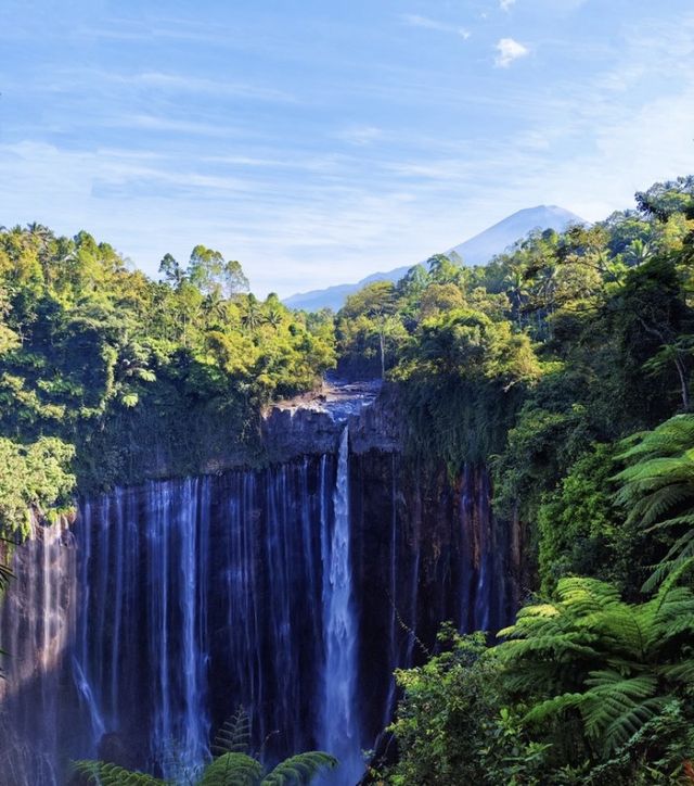 泗水：印尼東部的奇幻寶藏之旅，解鎖獨特風情。