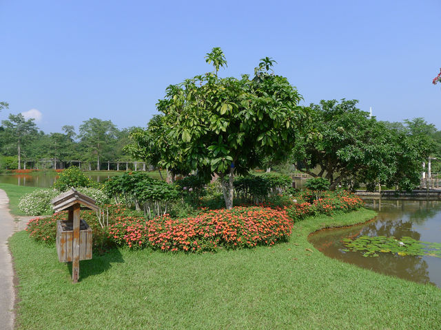 熱帶植物園·百花園——花的海洋。