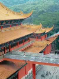 Daling Mountain guanyin Temple 🇨🇳