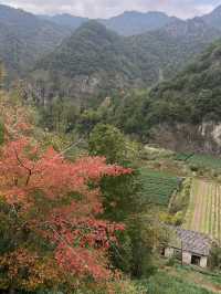 即將消失的行山路線——安山古道。