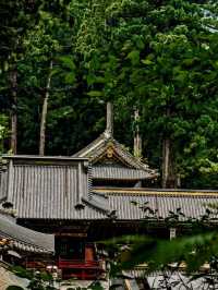 Explore Nikko's Hidden Gem: Toshogu Shrine