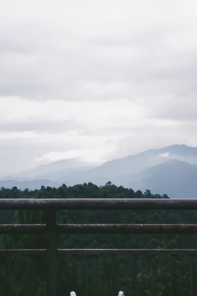 探秘福建漳州靈通山 | 邂逅自然秘境。