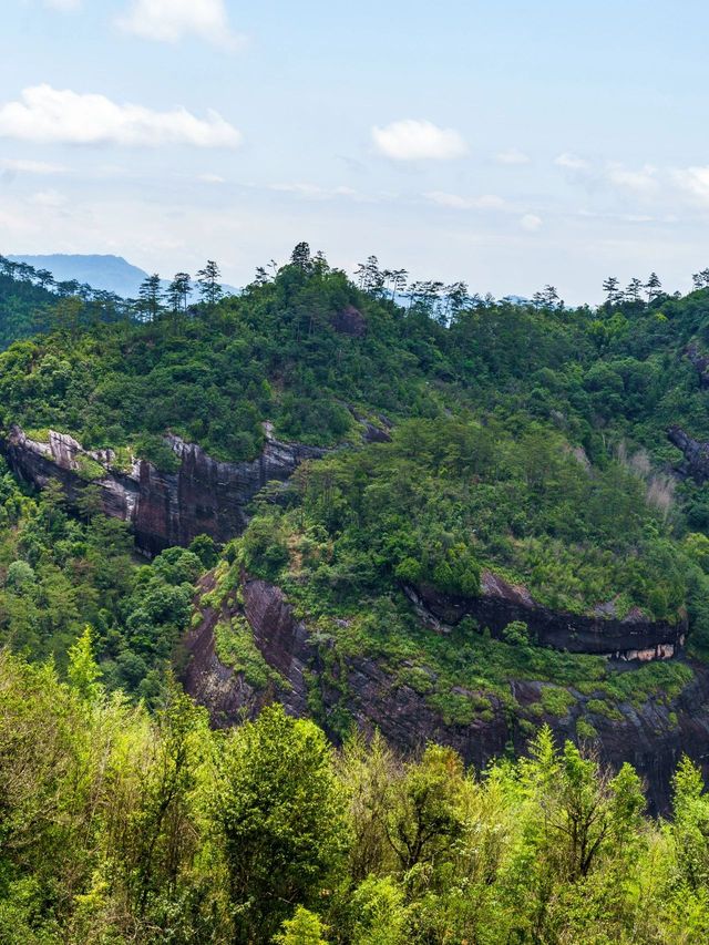 冬日必遊廈門-鼓浪嶼-武夷山 心動不如行動