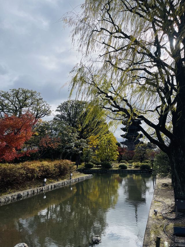 日本·京都