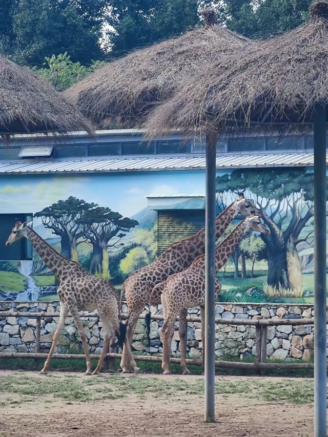 北京野生動物園