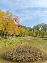 深圳紅花嶺公園