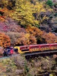 嵯峨野之旅：一場穿越山水的時光列車