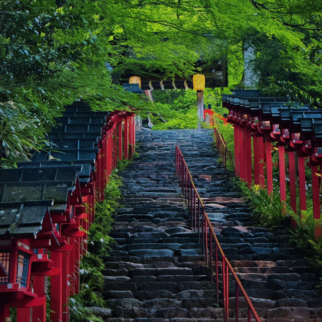 京都兩日遊：傳統文化與自然美景的深度體驗