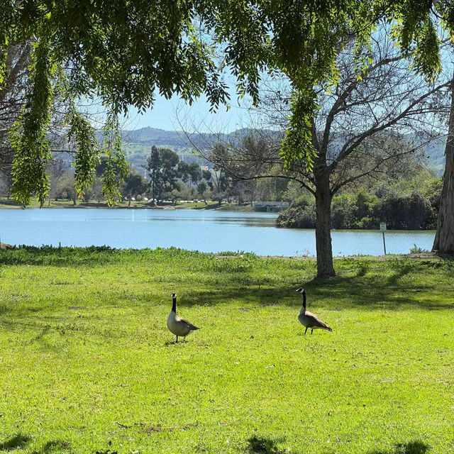 賽城湖濱公園：湖光山色