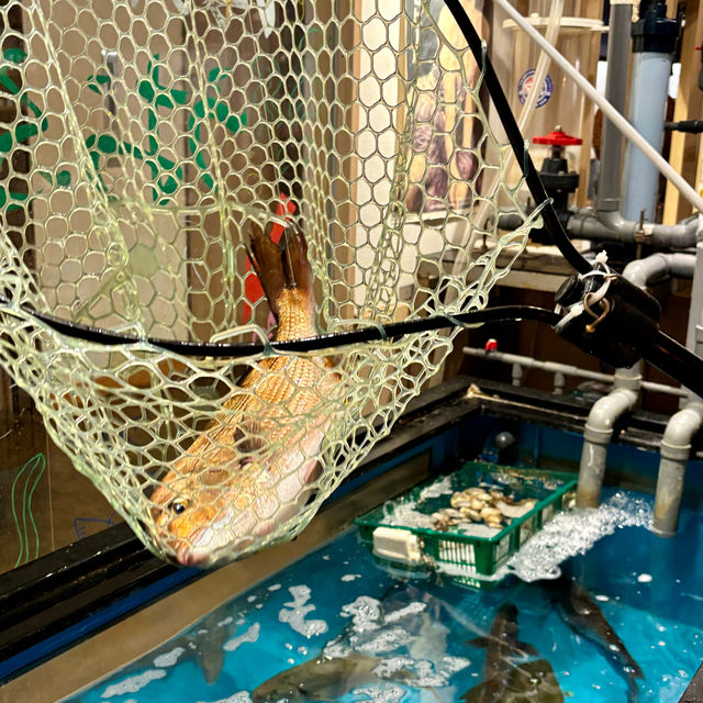 【大阪・東梅田】生簀の鮮魚で釣り上げ即味わえる体験型居酒屋「海鮮酒場 うおぷく」