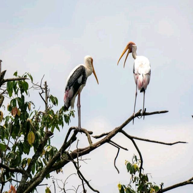 Wonderful place to visit - Zoo Negara Malaysia