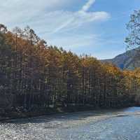 上高地（平湯轉旅遊巴）