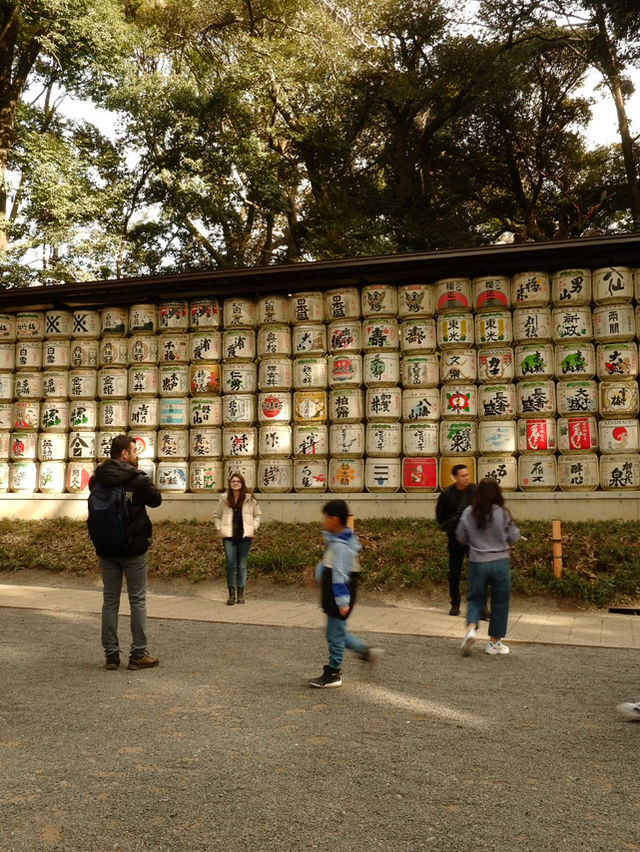 🇯🇵 Shibuya : Meiji Shrine 