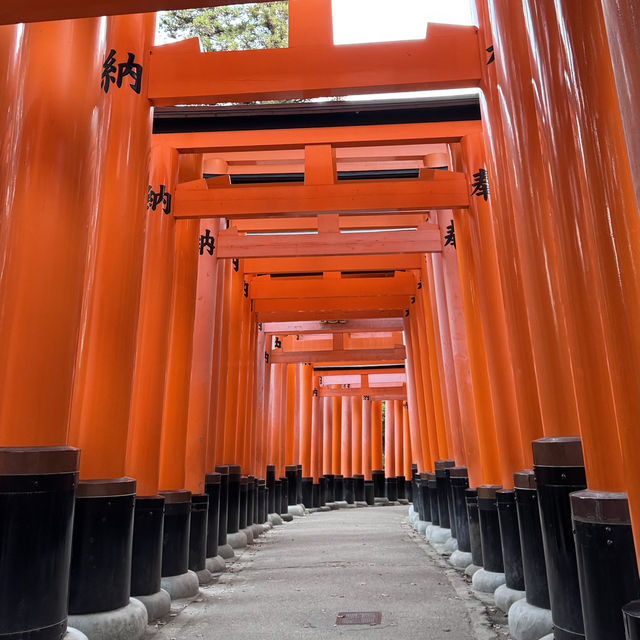 Day to Night at Fushimi Inari