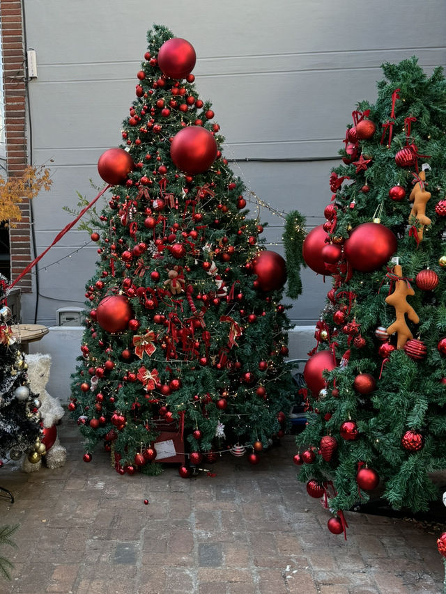 【釜山】韓国カフェでクリスマスを堪能！