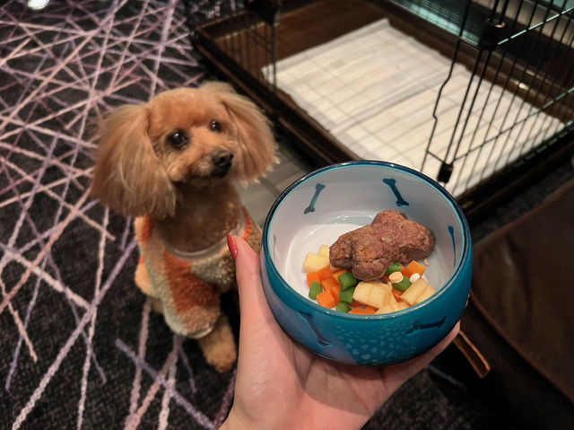 【東京ホテルステイ】愛犬と泊まれる東京の五つ星ホテルへ🐕‍🦺