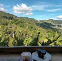 Kundasang: Where the Clouds Kiss the Mountains and Flavors Ignite