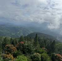 The Beauty of Sri Lanka’s Hill Country